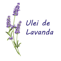 Scutece-Chilotel pentru bebeluși Sleepy Natural Night-mărime 5 Junior, 11-18kg, 24 bucăți